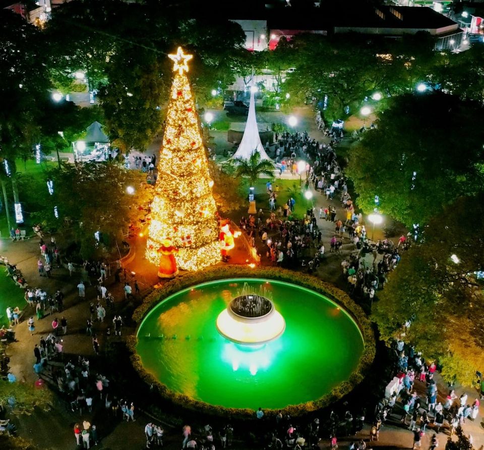 Árvore De Natal De 22 Metros Montada Pela Guine Eventos - Foto: Kirk Daves / Divulgação