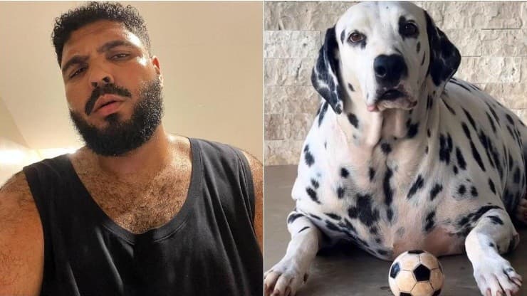 Paulo Vieira recebe críticas ao brincar com obesidade do cachorro dele