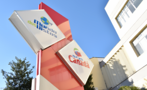 Saiba a importância de contratar uma assessoria para vistos consulares