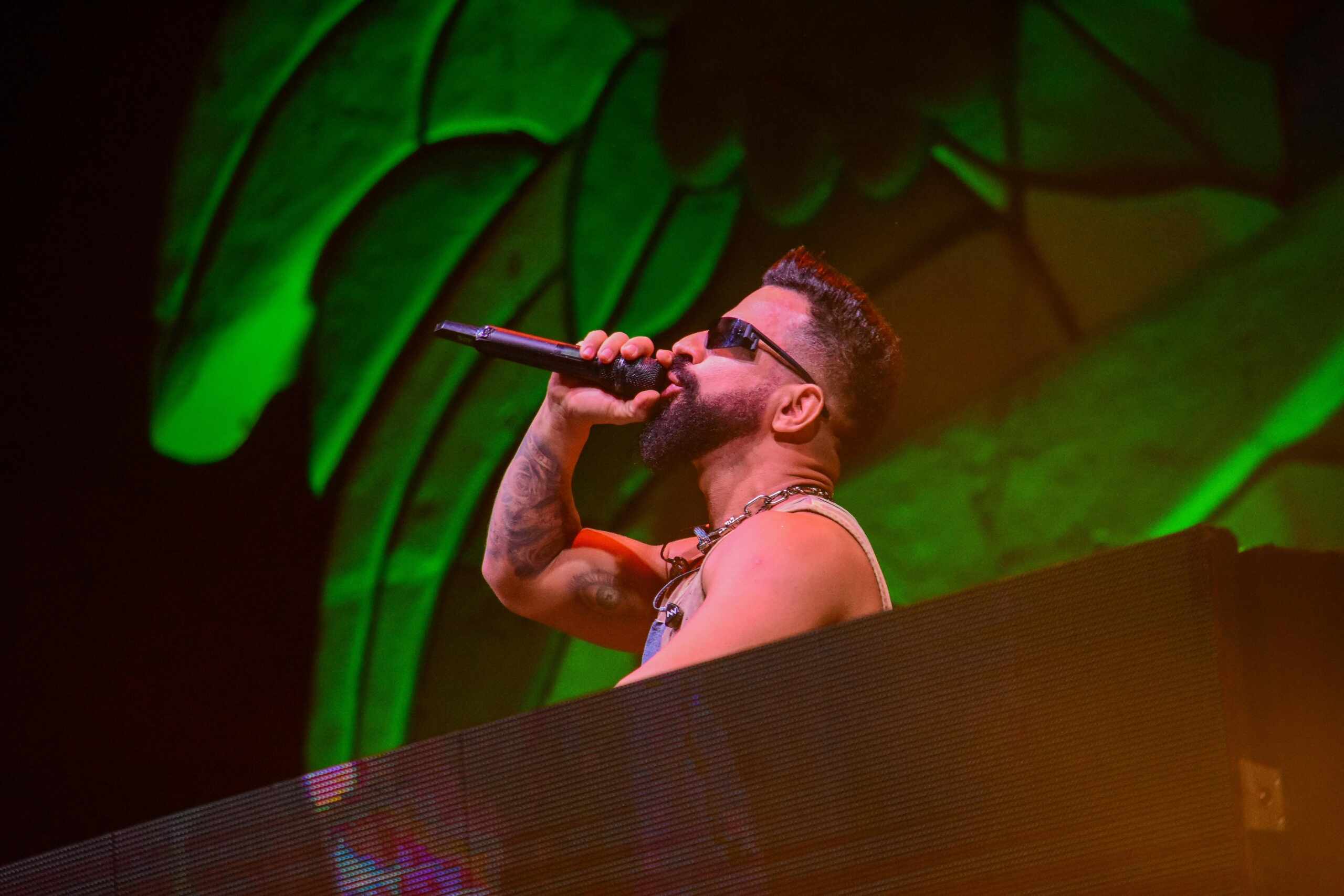 DJ Dennis - Fotos: Will Dias / Brazil News
