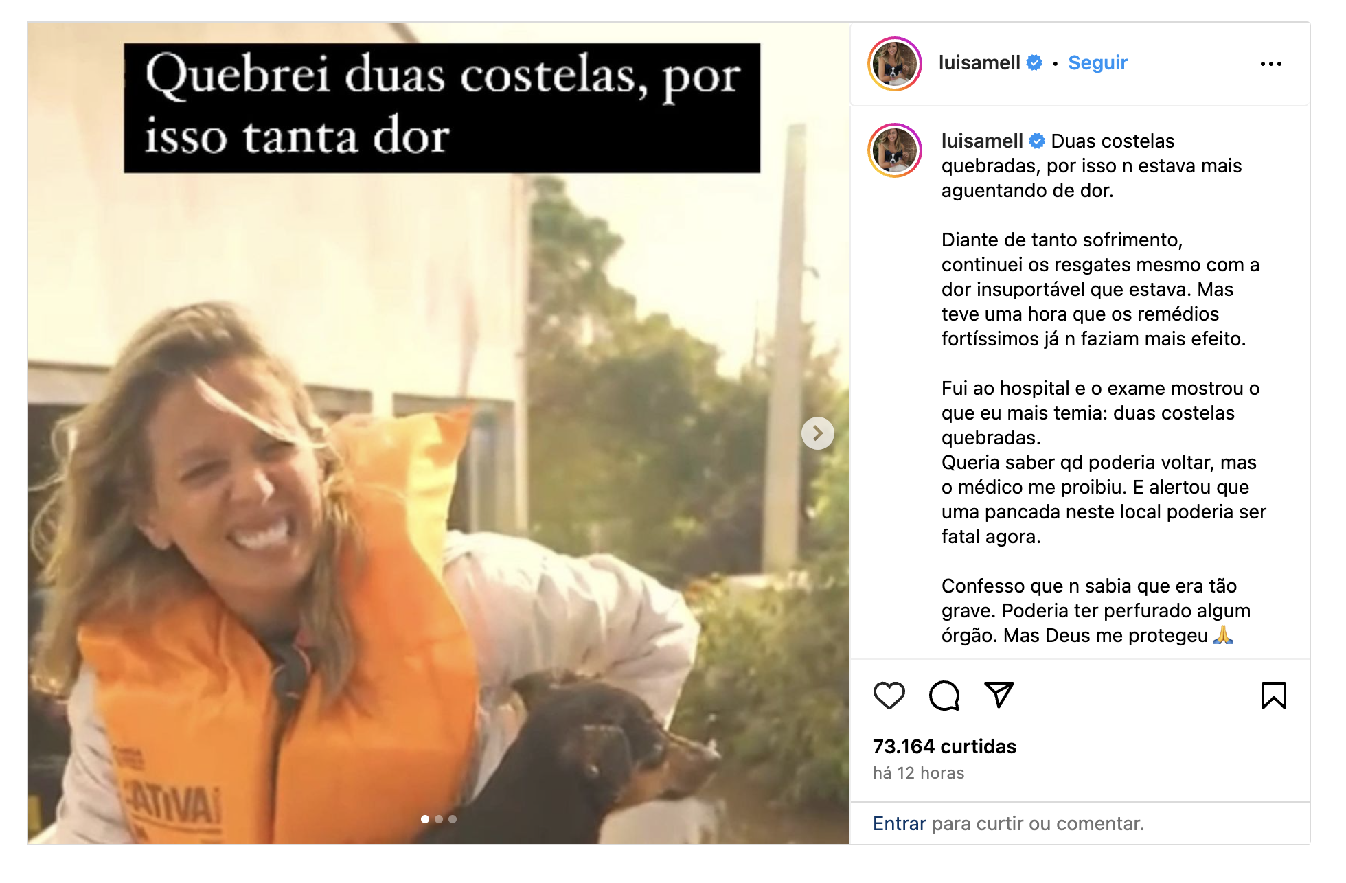 Luisa Mell Durante Resgates No Rio Grande Do Sul - Reprodução/Instagram