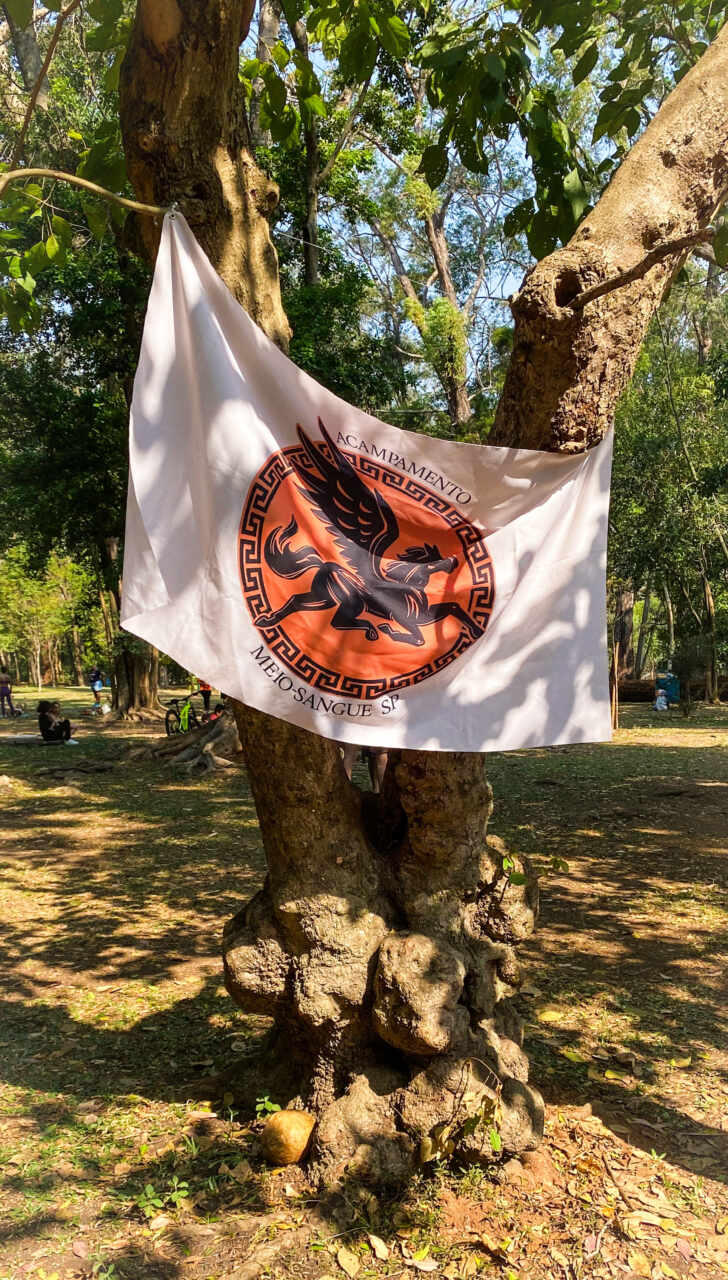 Fãs De “Percy Jackson” Se Reúnem No Parque Ibirapuera Para O “Dia Nacional Do Semideus” 4 Acampamento Meio Sangue Sp_ Foto Divulgação @Campmeiosanguesp