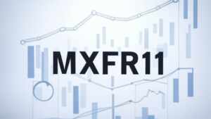 MXRF11 em foco: guia prático sobre estratégias e resultados para investidores