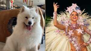 Musa da Grande Rio , Karen Lopes lamenta morte de cachorro.