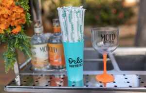 Amanhã : Os maiores eventos de Goiânia levam assinatura da Have Fun Eventos, o Pagodinho da Orla ,