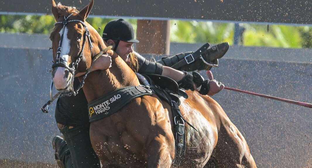 WhatsApp Image 2025 07 25 at 11.17.25 2 e1753808937710