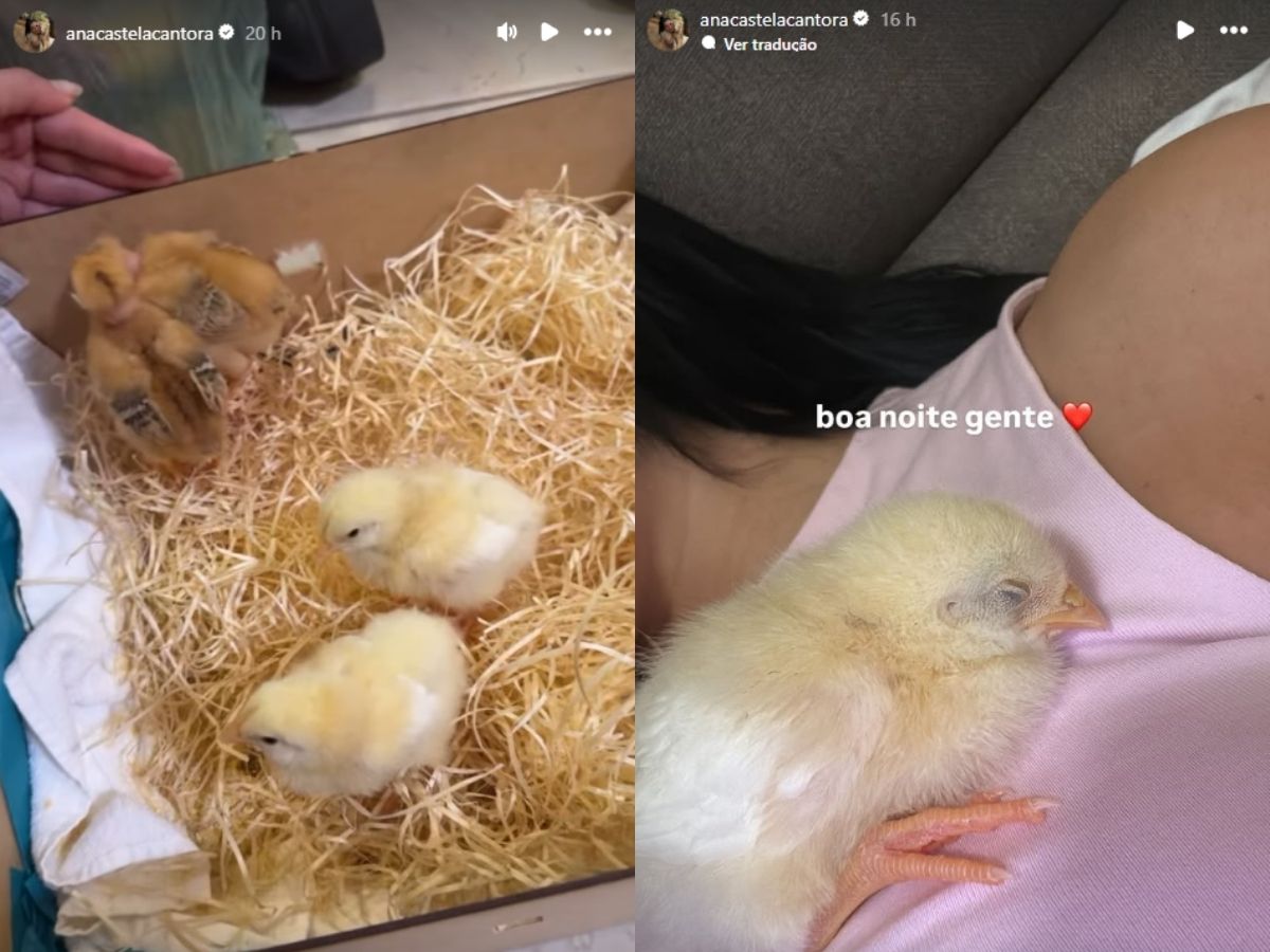 y0z8YnMo Padrao para Portal LeoDias