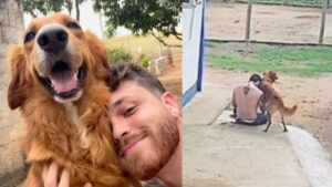 Gustavo Tubarão chama atenção para a importância do apoio emocional dos pets em momentos de crise