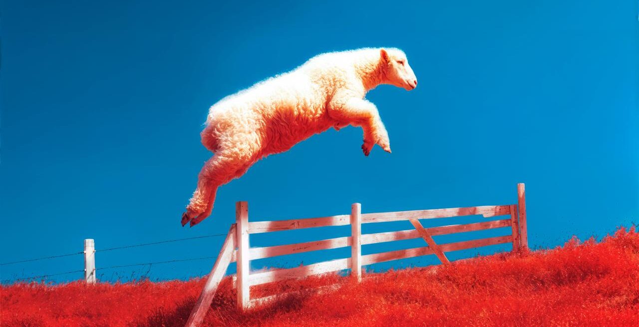 12b282d1 4154 425e 8933 b12cb7ea2a29 e1763513168297