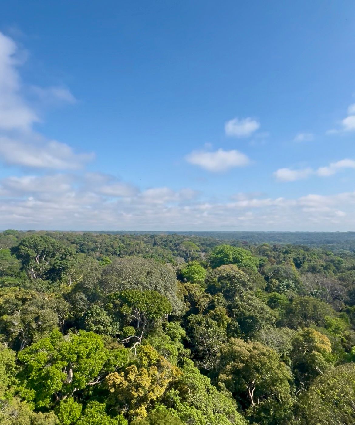 WhatsApp Image 2025 11 03 at 11.05.22 1