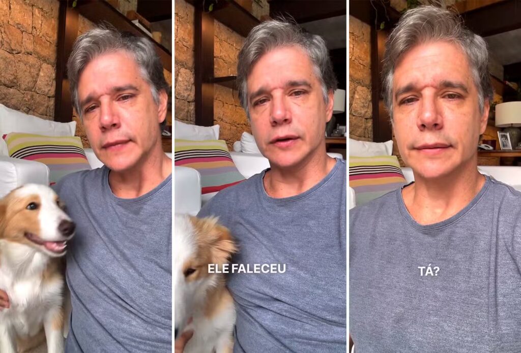 Márcio Garcia anuncia morte do cão Dogo e se emociona ao falar de despedida Marcio Garcia chora ao anunciar a morte de cão, diagnosticado com linfoma