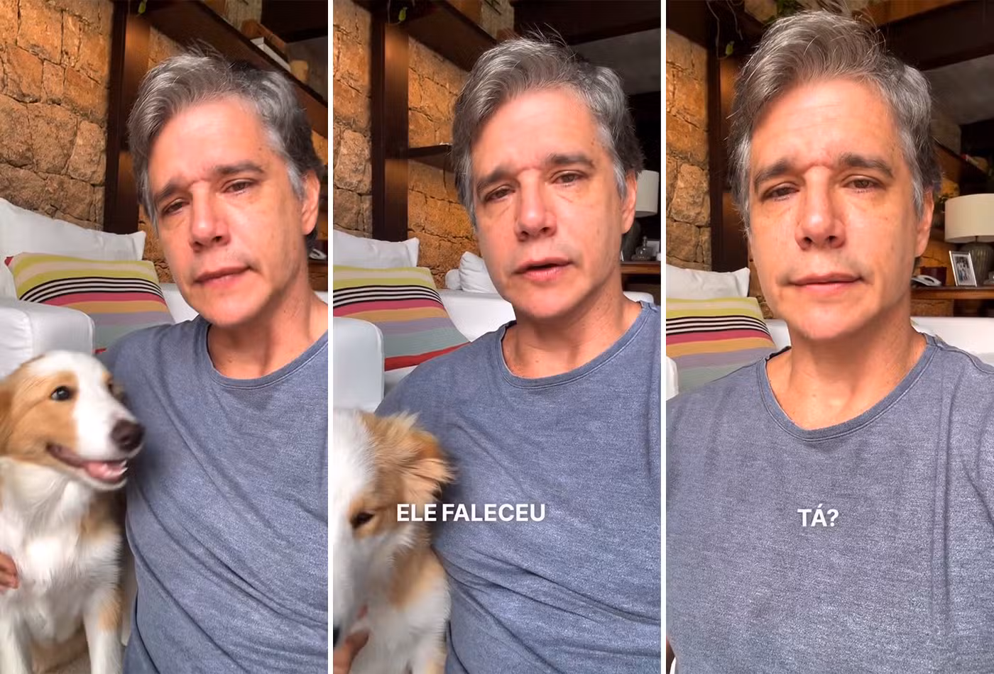 Márcio Garcia anuncia morte do cão Dogo e se emociona ao falar de despedida 5 Marcio Garcia chora ao anunciar a morte de cão, diagnosticado com linfoma