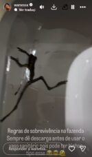 O susto de Wanessa Camargo - Foto: Reprodução/Instagram