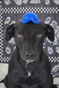 WhatsApp Image 2026 01 22 at 15.48.44