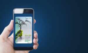 E-book gratuito da ABRAPS promove letramento climático para profissionais de diversos setores