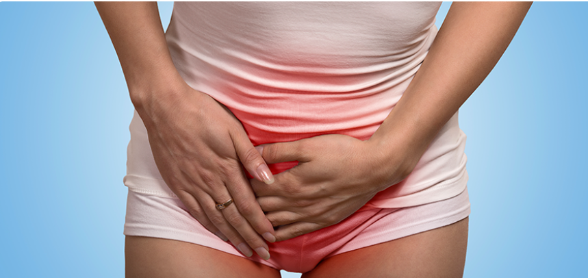 Captura de Tela 2026 02 03 as 15.45.38