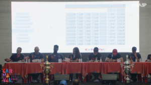 Carnaval SP 2026: Morro da Casa Verde e X-9 Paulistana conquistam o Acesso II