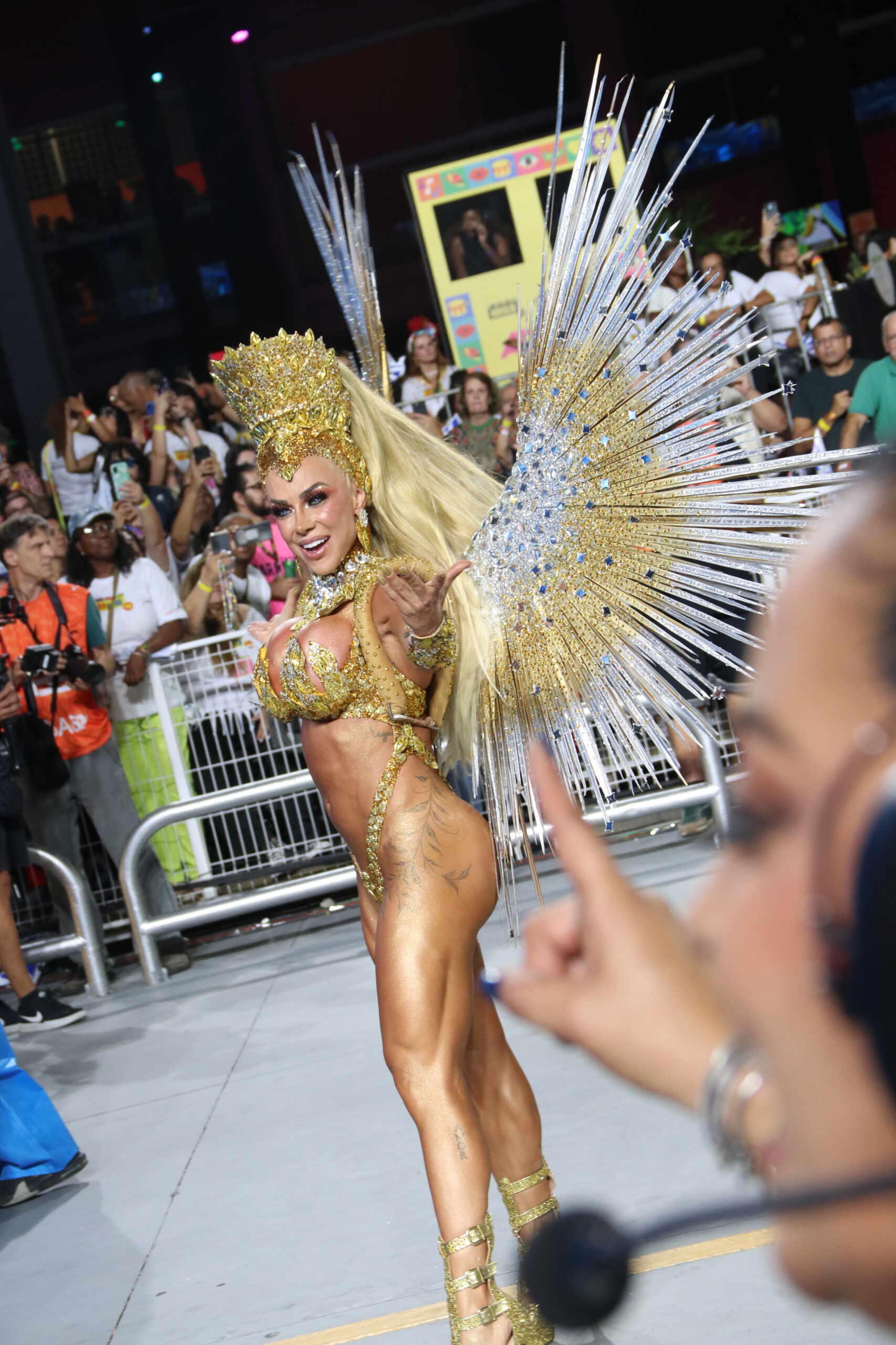 Águia de Ouro - Foto: Tiago Ghidotti / EGOBrazil