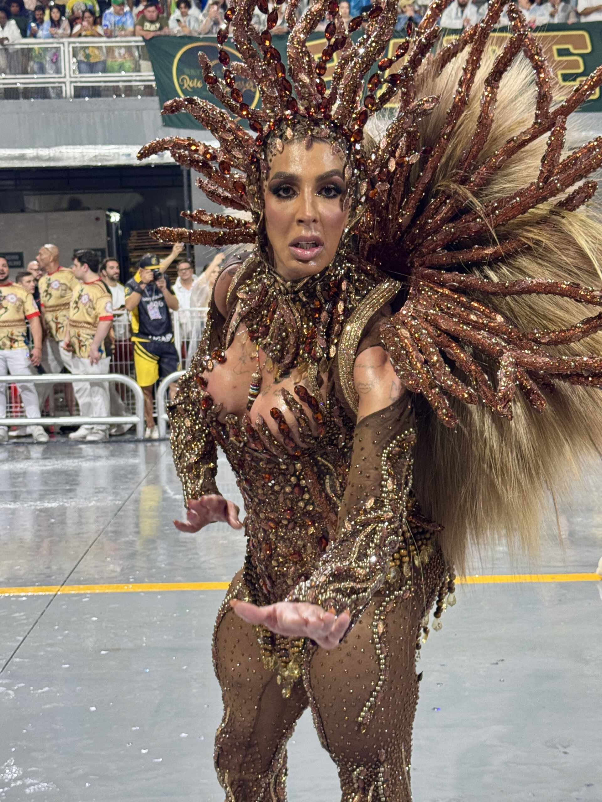 Pepita brilha como rainha de bateria da Unidos de São Lucas no Carnaval 2026 - Foto: Renato Cipriano 