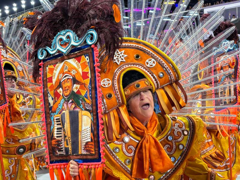 Estrela do Terceiro Milênio faz desfile seguro e exalta obra de Paulo César Pinheiro 27 Terceiro Milenio - Foto: Liga SP