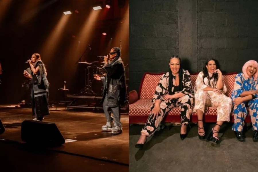 pexels karola g 4239007 4