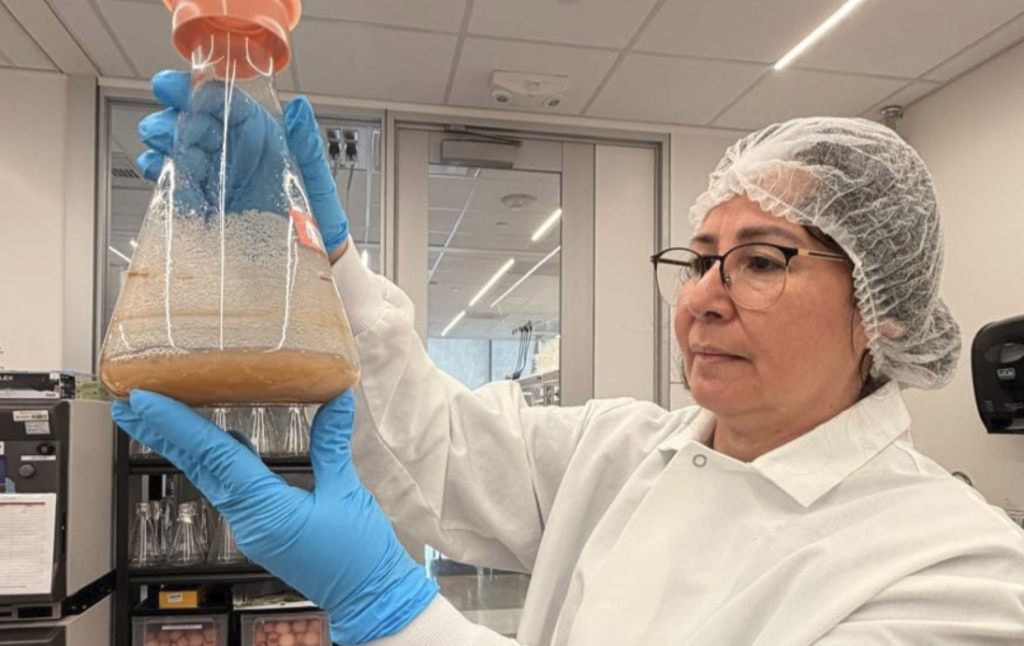 Captura de Tela 2026 04 15 as 23.24.31