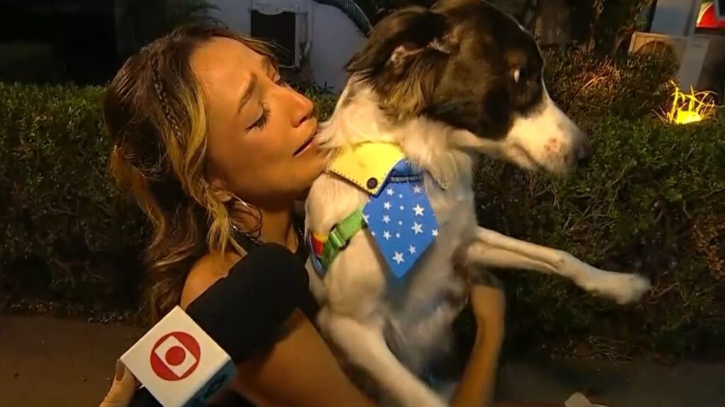 Web se emociona com reencontro de Samira e seu cachorro, Lindolfo