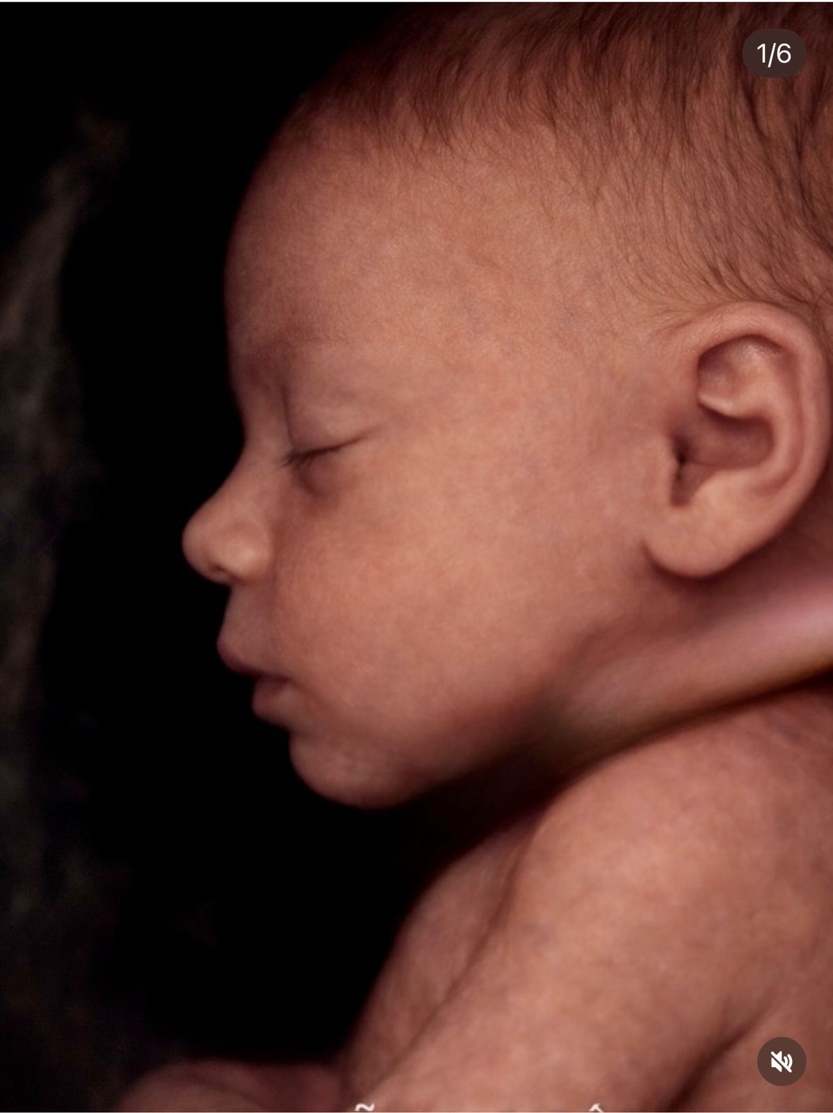 WhatsApp Image 2026 04 03 at 11.48.06